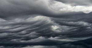 Is the Rightwing NZ Government waging a ‘war on nature’ with its climate policies?